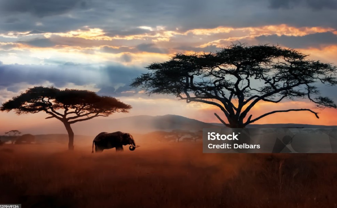 Tanzania  online visa application